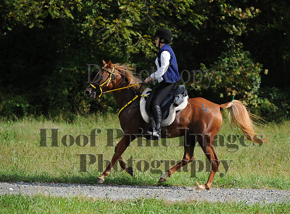 ChesapeakeCTR(9-20-14)0252