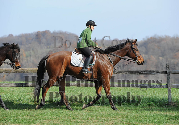AndrewsBr(11-9-14)0179