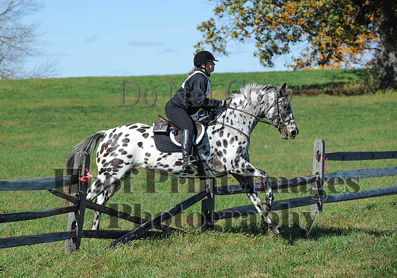 Cheshire(10-19-14)0028
