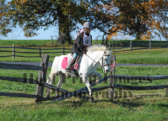 Cheshire(10-19-14)0392
