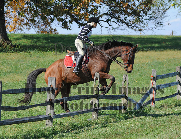 Cheshire(10-20-13)0653