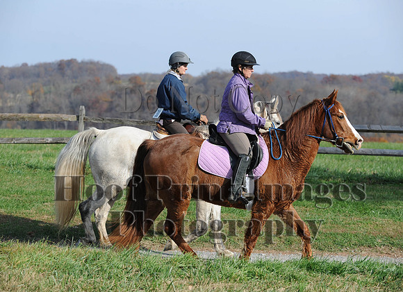 AndrewsBr(11-9-14)0235