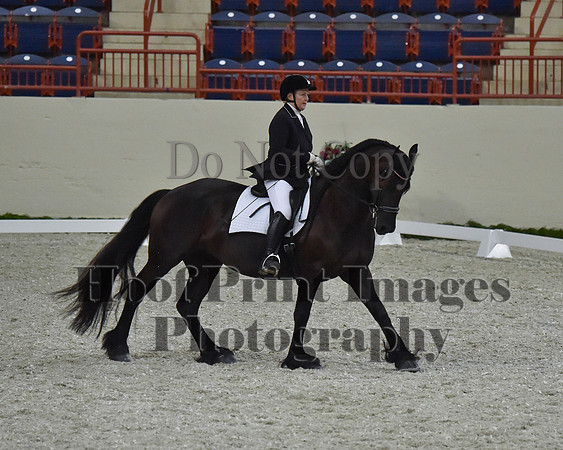 CWdressageII(8-21-16)2187