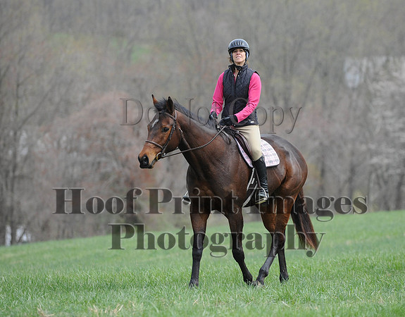 FairhillPC(4-18-14)0320