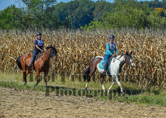 CheshirePonyClubPC(10-6-24)0604