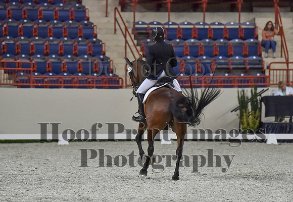 CWdressageI(8-20-16)0838