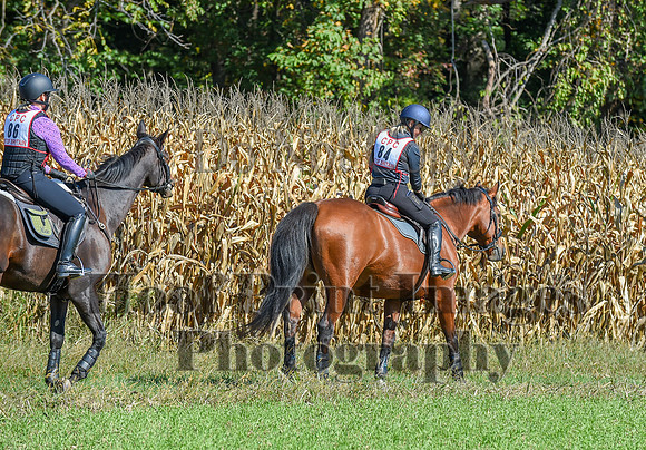 CheshirePonyClubPC(10-6-24)0307