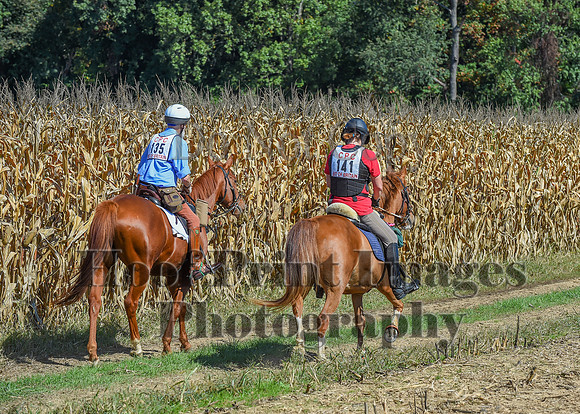 CheshirePonyClubPC(10-6-24)0644