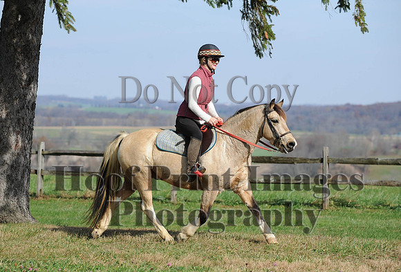 AndrewsBr(11-9-14)0068