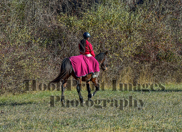 FairHillFallPC(11-30-24)0086