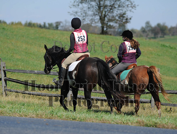 Cheshire(10-20-13)0062