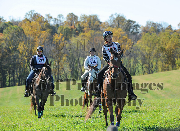 Cheshire(10-19-14)0284
