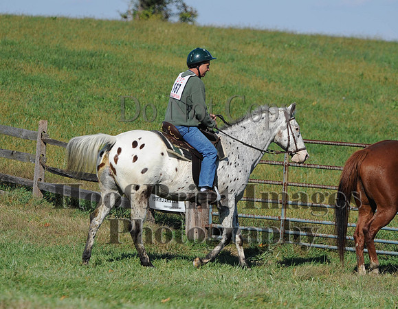 Cheshire(10-20-13)0548