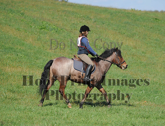Cheshire(10-20-13)0391