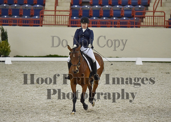 CWdressageI(8-20-16)0391