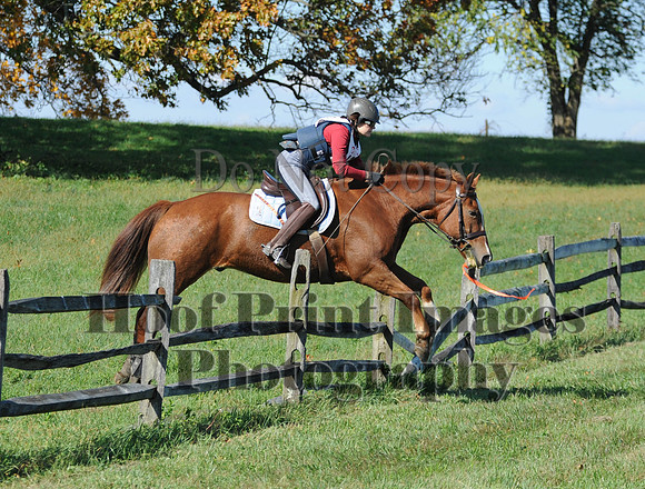 Cheshire(10-20-13)0273