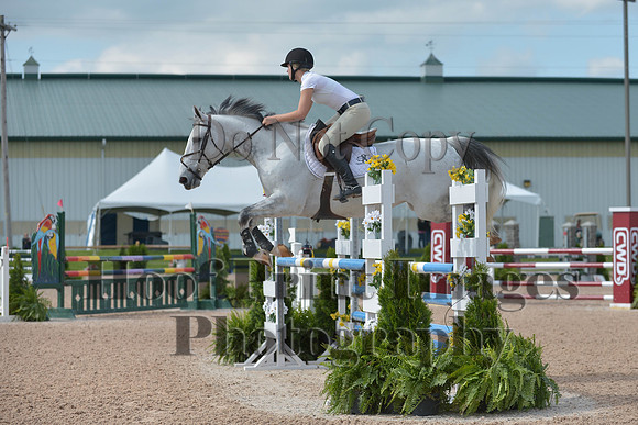 BRSa(5-17-14)HChAdJ0081