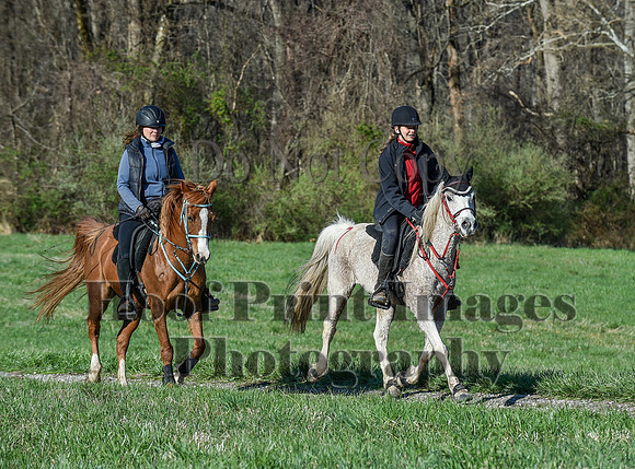 ChesapeakeSpring(4-10-22)0504