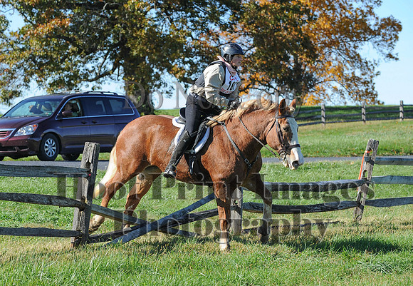 Cheshire(10-19-14)0380