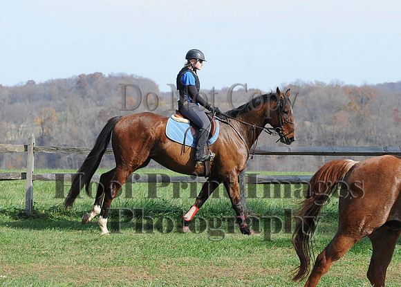AndrewsBr(11-9-14)0222