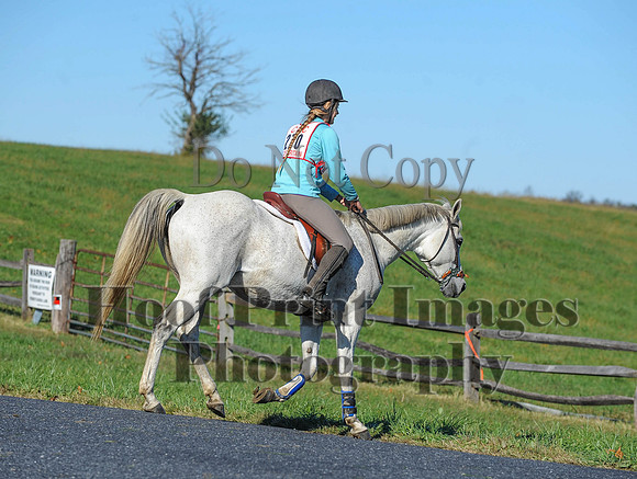 Cheshire(10-19-14)0476