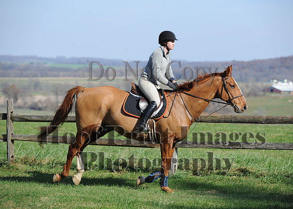 AndrewsBr(11-9-14)0026