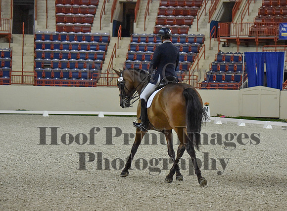CWdressageI(8-20-16)0475