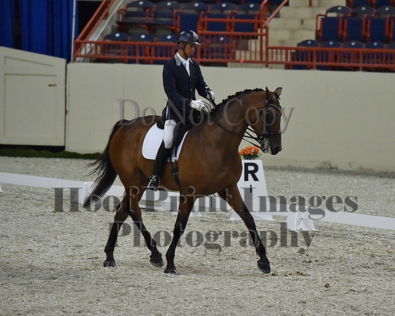 CWdressageII(8-21-16)2240