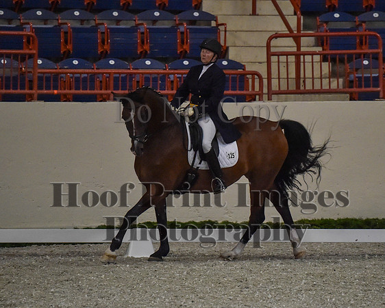 CWdressageII(8-21-16)0758