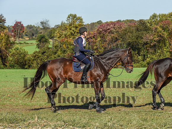 CheshirePC(10-18-20)0242