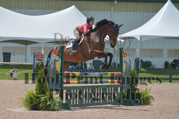 BRSa(5-17-14)HChAdJ0252