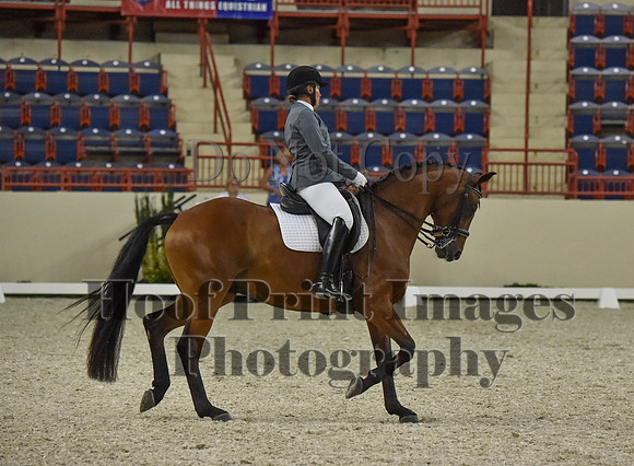 CWdressageI(8-20-16)1172