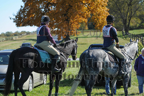 Cheshire(10-20-13)0279