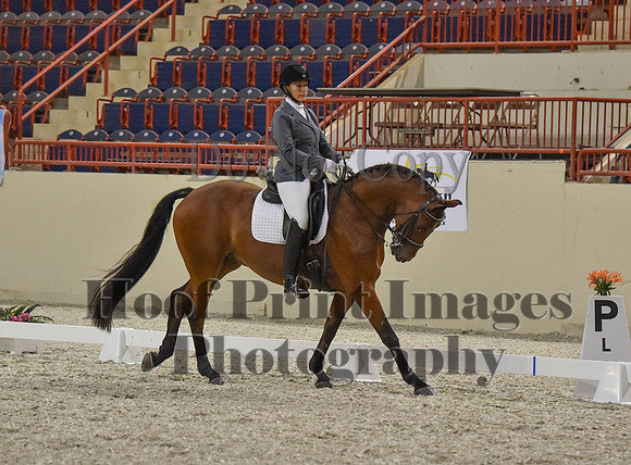CWdressageI(8-20-16)1170