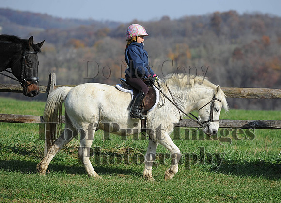 AndrewsBr(11-9-14)0154