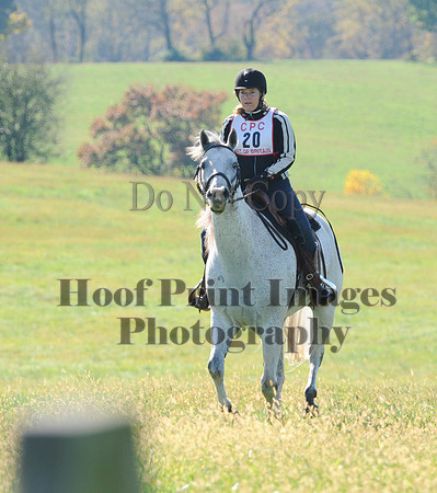Cheshire(10-20-13)0380