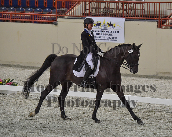 CWdressageII(8-21-16)0680