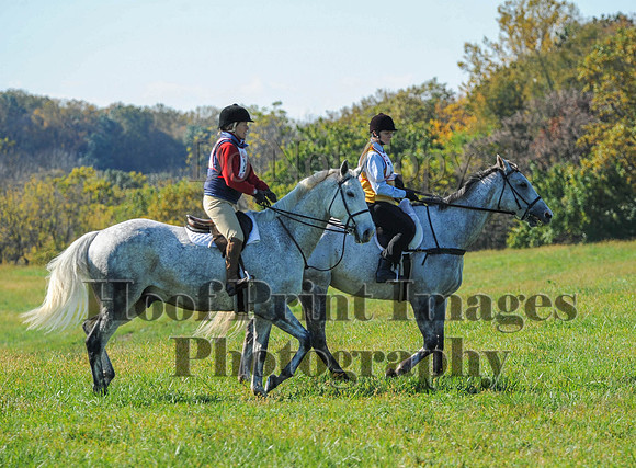 Cheshire(10-20-13)0473