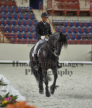 CWdressageI(8-20-16)1657