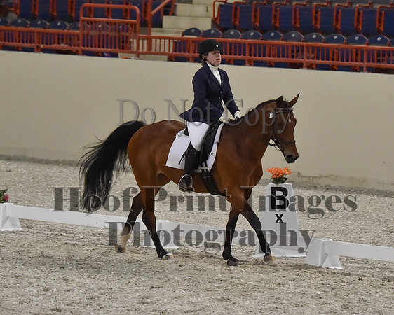 CWdressageII(8-21-16)2122