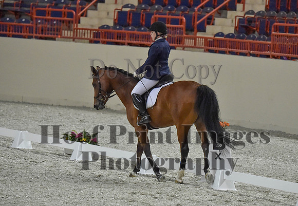 CWdressageI(8-20-16)0396