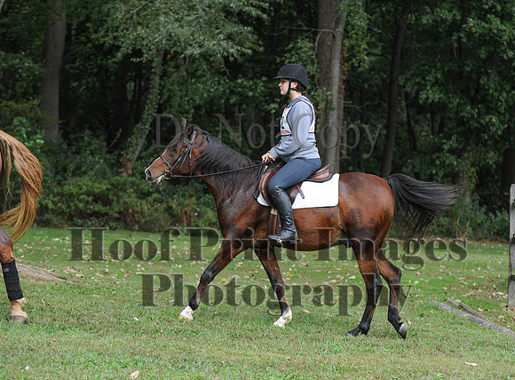 CheshirePC(10-16-16)0512