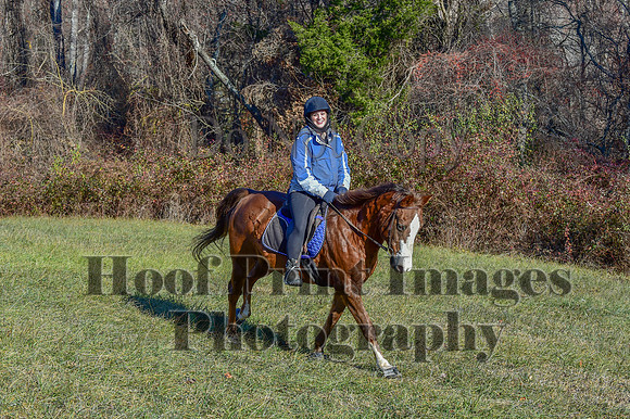 FairHillFallPC(11-30-24)0309
