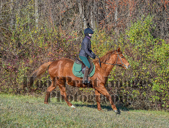 FairHillFallPC(11-30-24)0136