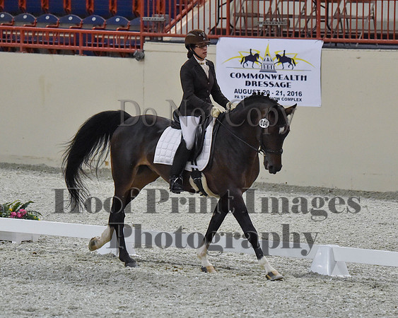 CWdressageII(8-21-16)2081