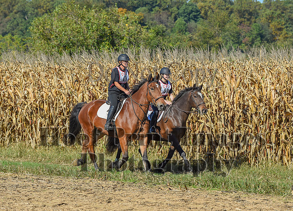 CheshirePonyClubPC(10-6-24)0147