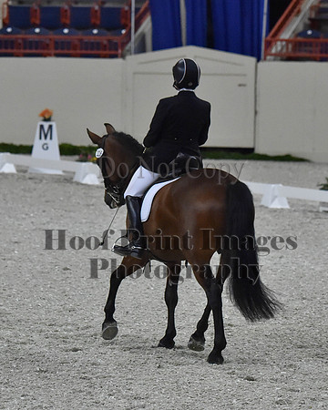 CWdressageII(8-21-16)1603