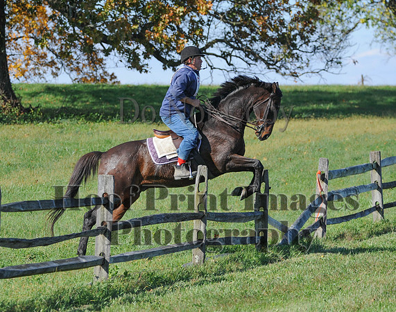Cheshire(10-20-13)0656