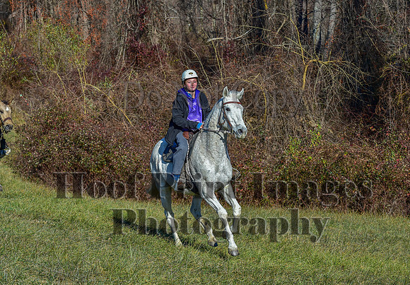 FairHillFallPC(11-30-24)0354