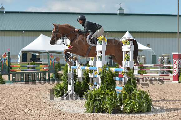 BRSa(5-17-14)HChAdJ0077